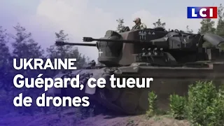 Guépard, ce tueur de drones qui protège l'Ukraine