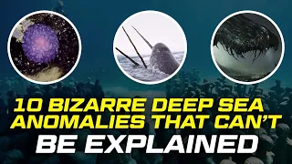 10 Deep Sea Anomalies That Can't Be Explained | Jacks Top 10