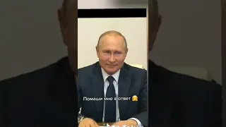 Котики Путин Анекдот #приколыскотами