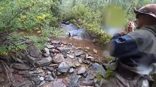 I can’t believe there were FISH in there!? - Dry Fly Fishing Colorado - McFly Angler Episode 58