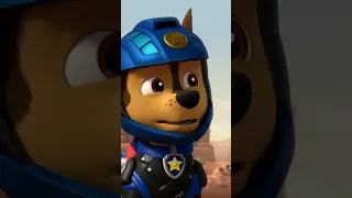 Wildcat i Motopieski ratują Hau-hau Bandę! - #PAWPatrol Psi Patrol #Shorts