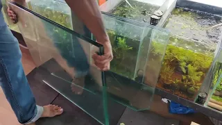 How to build an own aquarium setup in simple steps