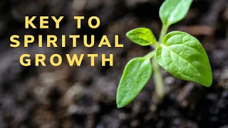 How to Grow Spiritually as a Christian | Key to Spiritual Growth