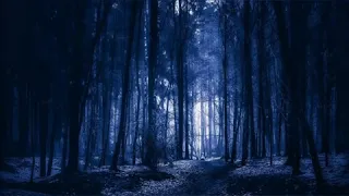 EDM MUSIC 🎶🎶🎵 - Forest ( electro dance music 🎶)