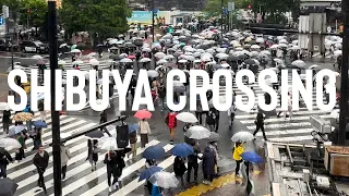 The World’s Busiest Street Crossing! ￼Shibuya Crossing in Tokyo, Japan!