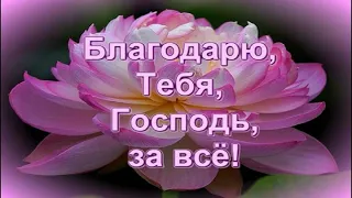 🙏🪗«За всё Тебя Господь благодарю.»  Brat Bruder.