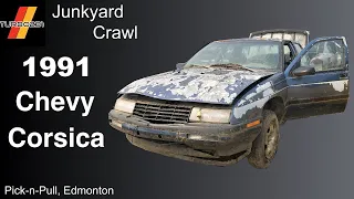 1991 Chevy Corsica Junkyard Tour!  GM Blue Paint Fell Off?  No Way!