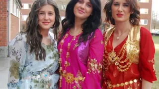 Kurdish folk music "Yaran" (My Love)