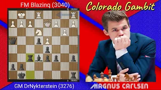 Magnus Carlsen Plays Colorado Gambit. II FM Blazinq (3040) VS GM DrNykterstein (3276).