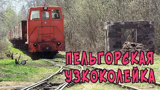 Пельгорское торфопредприятие. Один день на действующей узкоколейке!