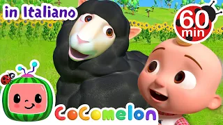 Baa Baa | COCOMELON Italiano - Canzoni per Bambini