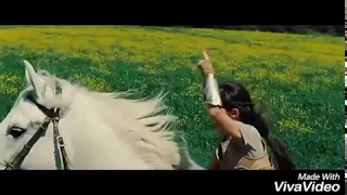 Wonder Woman Tribute MV