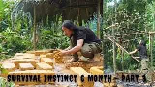 Survival Instinct - The 6 Month Survival Challenge In The Jungle - part 3