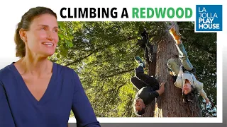 Climbing a Redwood with Idina Menzel & Tina Landau | Redwood Musical