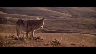 Dances with Wolves - "Two Socks" (John Barry)