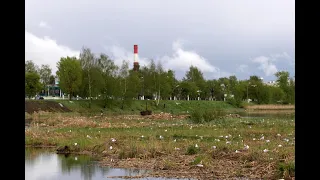 Видео о жизни на Лазурном берегу в Твери. Часть 1