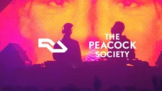 Seth Troxler B2B Michael Mayer at The Peacock Festival | In Video | Resident Advisor