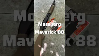 Maverick 88 (Part 2) #2ndamendment #guns #demolitionranch #maverick88 #mossberg #firearms #america