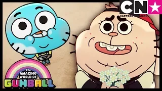 Gumball Türkçe | Köken ve Aile Çabası | çizgi film | Cartoon Network