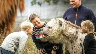 OS ANIMAIS DE ESTIMAÇÃO MAIS ESTRANHOS DO MUNDO