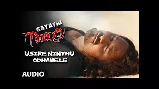 Usire Ninthu Odhamele Full Song Audio || Gayatri || Chethan, Shoba Rani || Kannada Songs