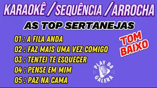 KARAOKÊ, SEQUÊNCIA, ARROCHA ( As melhores sertanejas )