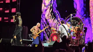 Red Hot Chili Peppers - Solo Intro/Californication (Live in Brasília 07.11.2023)