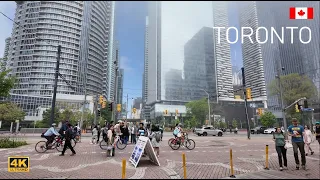 Toronto Downtown Waterfront Foggy Weather Walk 4K🇨🇦 Canada