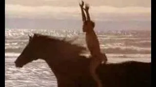 Here I am - Black Stallion