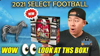 *WOW* 👀 LOOK AT THIS BOX! 🦓 2021 Select Football Hobby Box - $1,600!