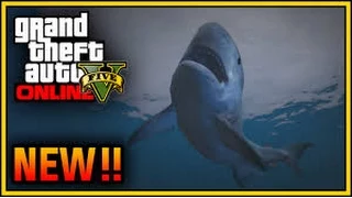 GTA 5 Next Gen - RARE Giant Humpback Whale Spawn Location on PS4 & Xbox One ! (GTA 5 Gameplay) (HD)