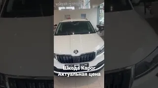 Актуальная цена на авто Шкода Карог. Февраль #автомобили #обзорцен #цены #обзор #авторынок #авто