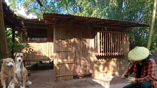 [ Buhay Probinsya ] Ang kompletong Paggawa ko sa aking Bahay Kubo | Pagluto ng Bunga ng Malunggay