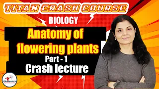 Biology l Anatomy of flowering plants Part 1 l Titan Crash Course l NEET