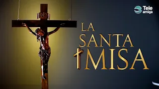 Santa Misa - Miércoles 21 de Julio de 2021