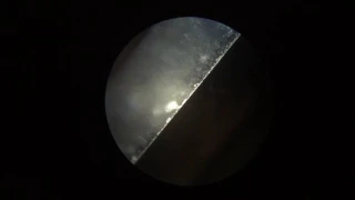 Нож скалывателя CT-30 под микроскопом