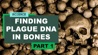 Finding Plague DNA In Bones | Anatomy and Biological Anthropologist Alice Roberts (part 1)