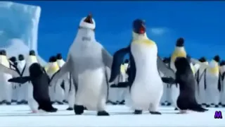 The Penguin Song Happy Birthday