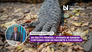 ¡Es delito federal! Jovenes se graban cortando con un machete a cocodrilo