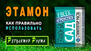 Регулятор роста ЭТАМОН. Как ПРАВИЛЬНО использовать Этамон