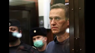 Navalny's Arrest: Response and Aftermath