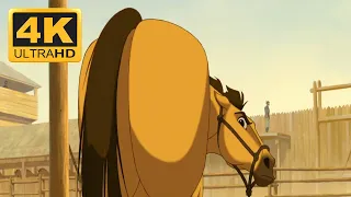 Spirit: Stallion of The Cimarron - Spirit's Butt (4K Quality)