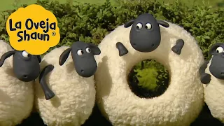 La Oveja Shaun 🐑 Ovejas y cabras 🐑 Dibujos animados para niños