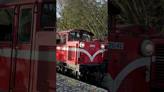 Alishan Forest Railway #shorts #train #taiwan #travel