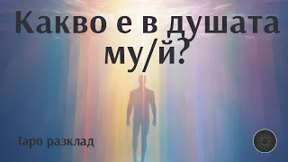 Какво е в душата му/й?❓🫶🏼💞