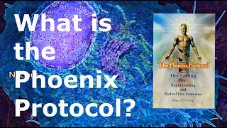 What Is The Phoenix Protocol? #life #livetipsandtricks #healthy #dryfasting