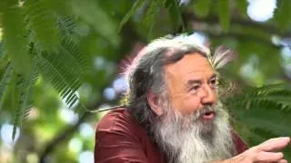 Wolf-Dieter Storl im Interview | Hat sich die Heilkraft der Pflanzen heute verändert? | LitLounge.tv