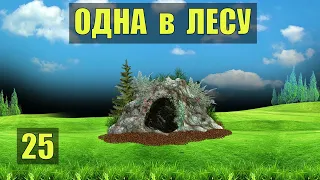 УБЕЖИЩЕ в ПЕЩЕРЕ ОТШЕЛЬНИЦА ВЫЖИВАНИЕ ОСТАЛАСЬ ОДНА В ЛЕСУ СУДЬБА ПЛЕМЯ РОБИНЗОН ЖИВОТНЫЕ 25