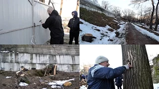 В Одессе активисты открыли проход в Греческий парк и забили в деревья гвозди