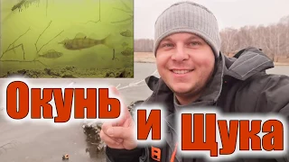 ПЕРВЫЙ ЛЕД 2019-2020! РЫБАЛКА ОГОНЬ!!! ОКУНЬ, ШУКА, БАЛАНСИР, МОРМЫШКА, ПОДВОДНАЯ КАМЕРА для рыбалки